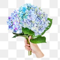 Hydrangea flower png bouquet, transparent background