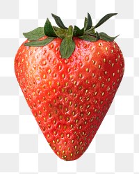 Fresh strawberry png, food element, transparent background