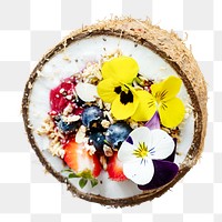 Coconut png collage element on transparent background