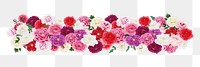 Pink carnation flower png divider, colorful botanical illustration, transparent background