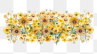 Colorful sunflower png divider, Spring floral illustration, transparent background