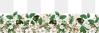 White vintage flowers png border, transparent background