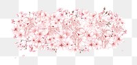 Cherry blossom flower png divider, Japanese botanical illustration, transparent background