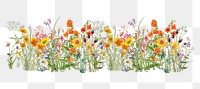 Spring wildflower png divider, aesthetic botanical illustration, transparent background