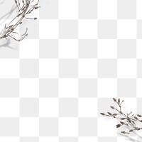 Dry flower border png, transparent background