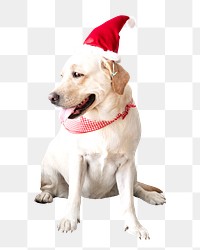 Xmas Dog png collage element, transparent background