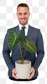 Businessman holding houseplant png, transparent background