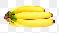 Banana bunch png, transparent background