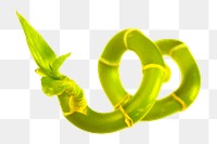 Flower stem png curve, transparent background