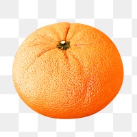 Png orange, transparent background