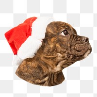 Brown Bulldog png, christmas hat, design element, transparent background