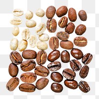 Roasted coffee beans png, transparent background