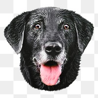 Black dog png, collage element, transparent background