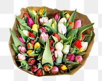 Colorful tulips bouquets png, transparent background