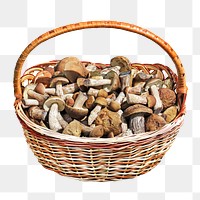 Basket of mushrooms png, transparent background