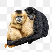 Ape hug png, design element, transparent background