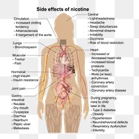 Main side effects of nicotine (See Nicotine).To discuss image, please see Talk:Human body diagrams