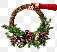 Christmas wreath png, isolated object, transparent background