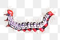 Png colorful worm element, transparent background