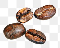 PNG coffee beans, collage element, transparent background