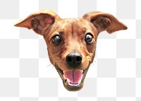 Miniature Pinscher png collage element, transparent background