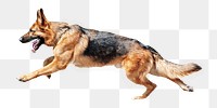 PNG German Shepherd, collage element, transparent background