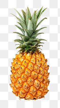 Pineapple png food, transparent background