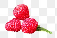 Red raspberry png collage element, transparent background