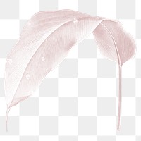 Png pink leaf illustration on transparent background