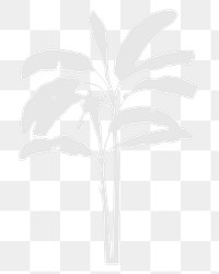 Png white tree shadow on transparent background