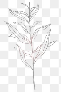 Png tree line art, minimal design on transparent background