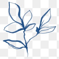 Png leaf, hand drawn illustration on transparent background