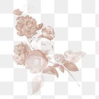 Png vintage flower illustration on transparent background