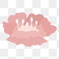 Pink flower png illustration, transparent background