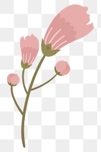 Pink flower png illustration, transparent background