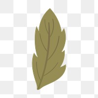 Green leaf png illustration, transparent background