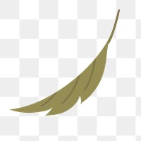 Green leaf png illustration, transparent background