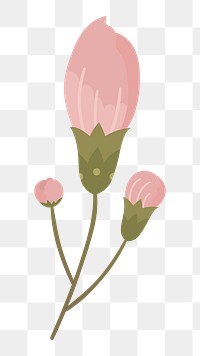 Pink flower png illustration, transparent background