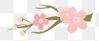 Pink png flower on transparent background, sakura illustration