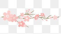 Pink png flower on transparent background, sakura illustration