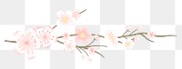 Pink png flower on transparent background, sakura illustration