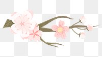 Pink png flower on transparent background, sakura illustration