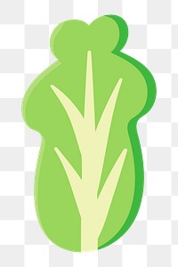 PNG green lettuce, cartoon food transparent background