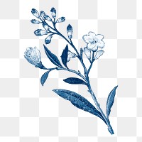 Vintage png blue cherry blossom, transparent background
