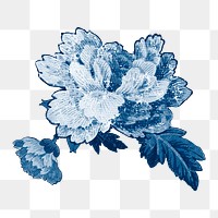 Blue vintage png peony painting, transparent background