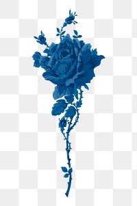 Blue vintage png rose painting, transparent background