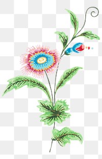 Png vintage watercolor flower painting, transparent background