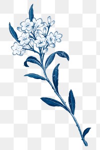 Vintage png almond flower painting,  transparent background