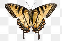 Yellow  butterfly png, transparent background