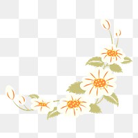 Flower border png transparent background